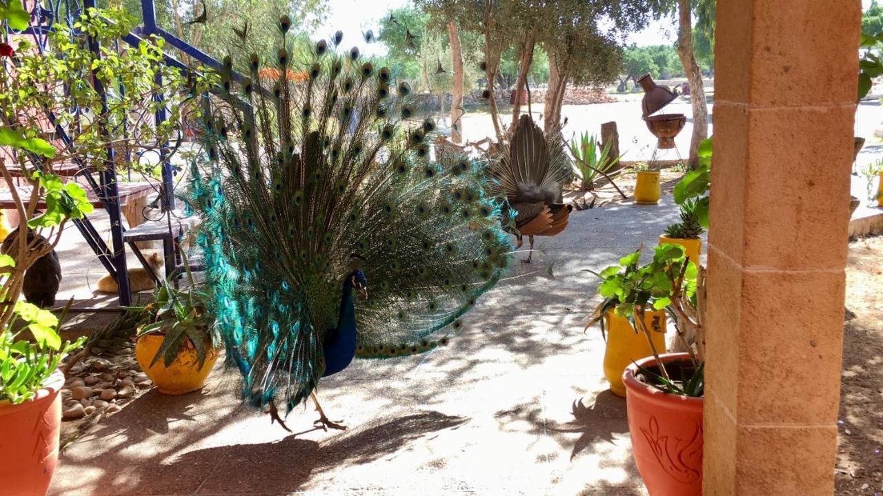 Camping & Hotel Le Calme Есувейра Екстериор снимка